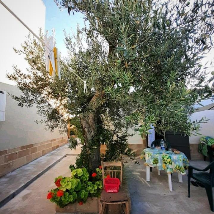 Casa Le Gebbie Villa Marzamemi Eksteriør billede