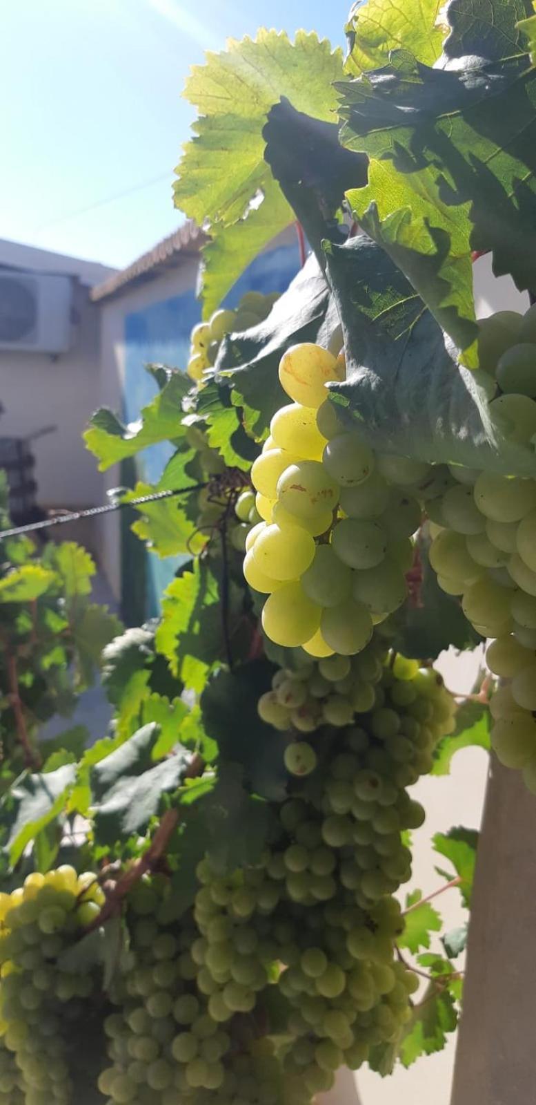 Casa Le Gebbie Villa Marzamemi Eksteriør billede